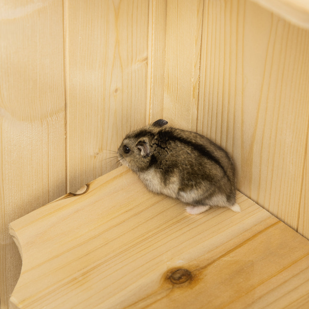 5-Tier Wooden Hamster Cage Mice Habitat Rat Habitat with Openable Top, Front Door and Storage Shelf