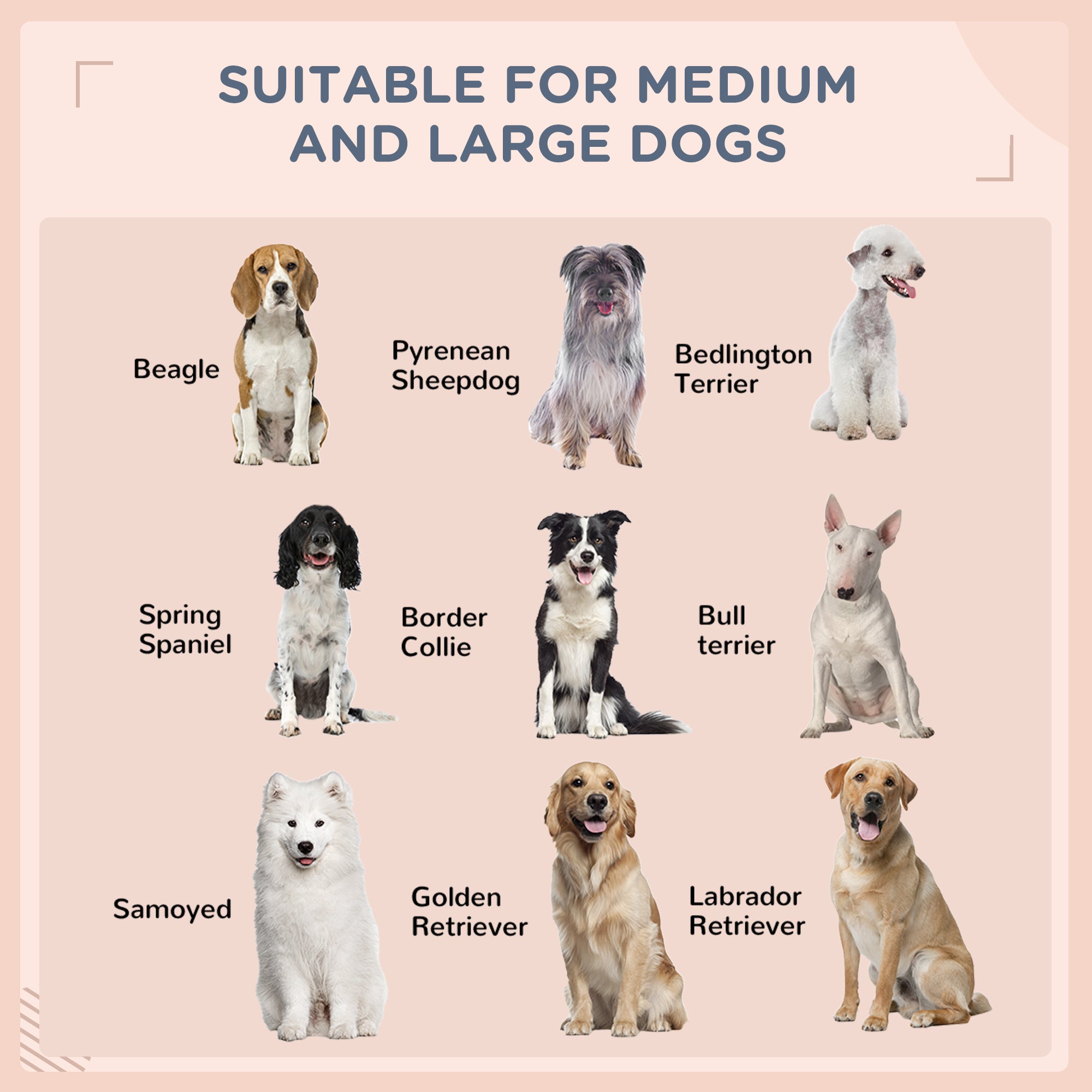 Outdoor Dog Bed with Canopy, Rattan Dog Bed with Soft Cushion Removable Cover for Medium and Large Dogs, Charcoal Gray