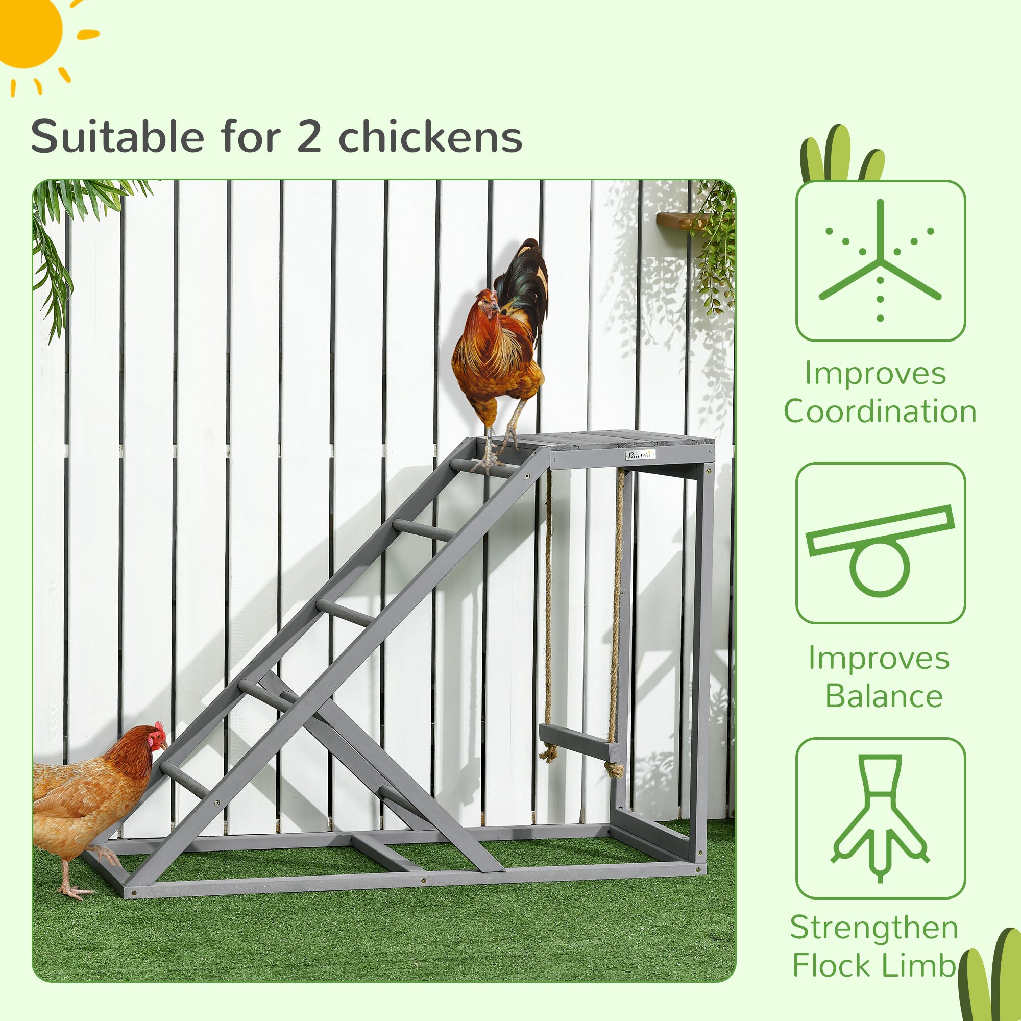 Chicken Swing Set with Perches & Hen Ladder, Chicken Coop Activity Toy