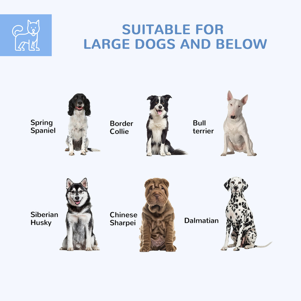 13.4' x 11.5' x 5.6' Dog Kennel Outdoor for Medium and Large-Sized Dogs with Lockable Door, Silver