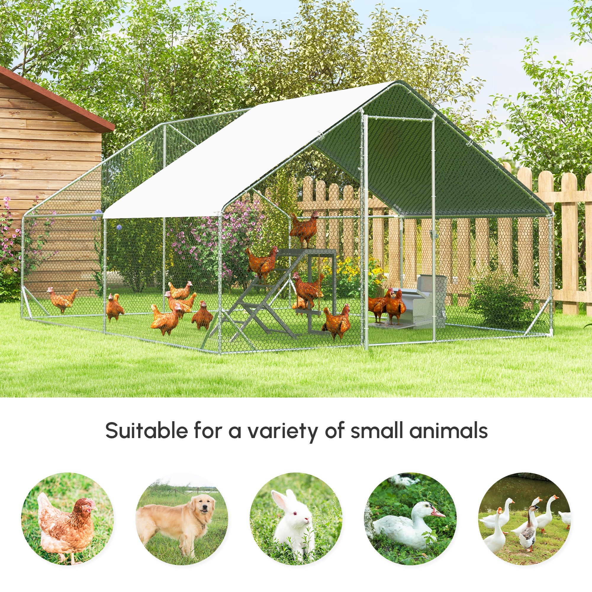 10¡¯ x 20¡¯ x 6.5¡¯ Chicken Coop Cage, Outdoor Hen House w/Cover & Lockable Door