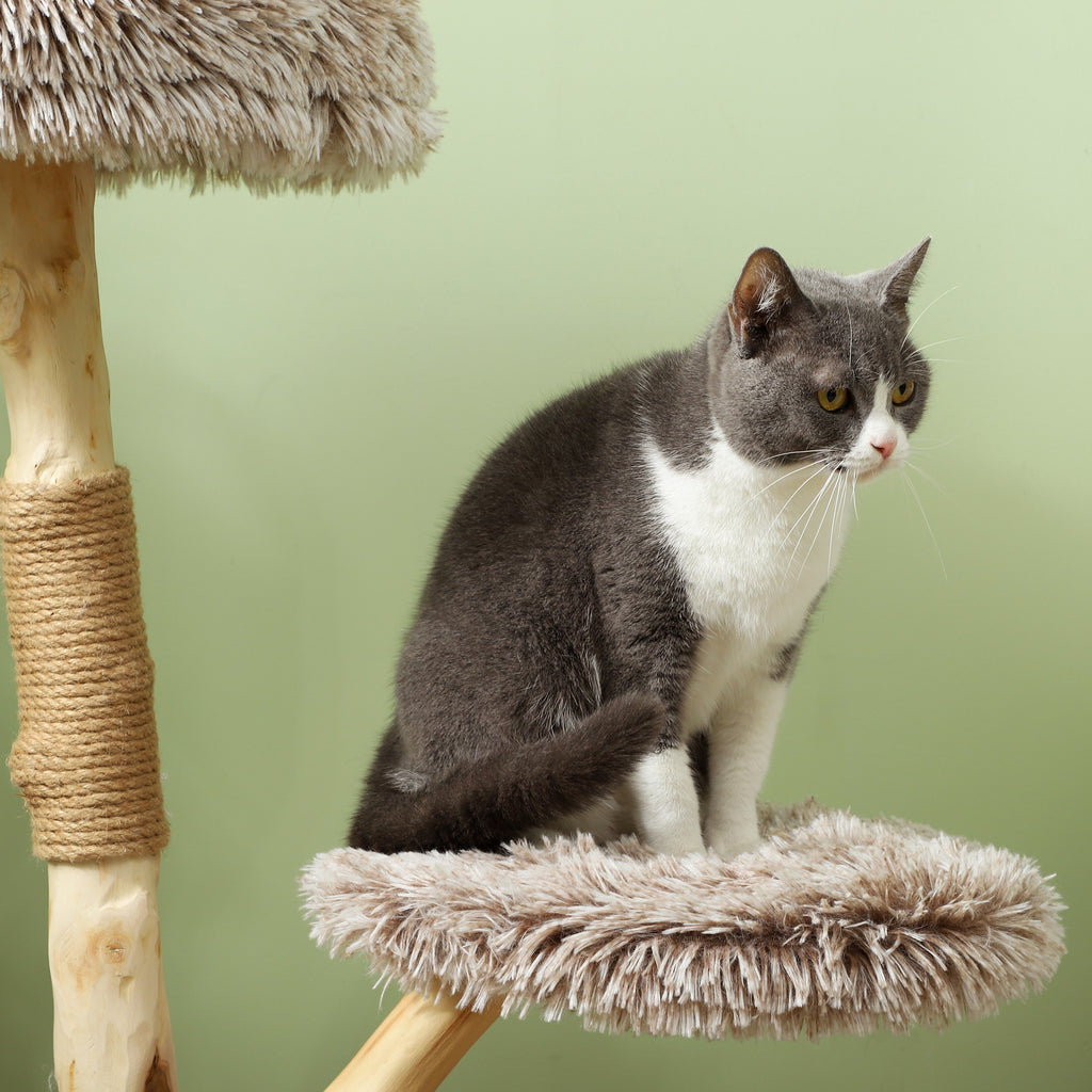 35-Inch Modern Cat Tree for Indoor Adult Cats, Wooden Scratching Posts, Cat Bed & Rope Toy, Compact Activity Tower, Brown