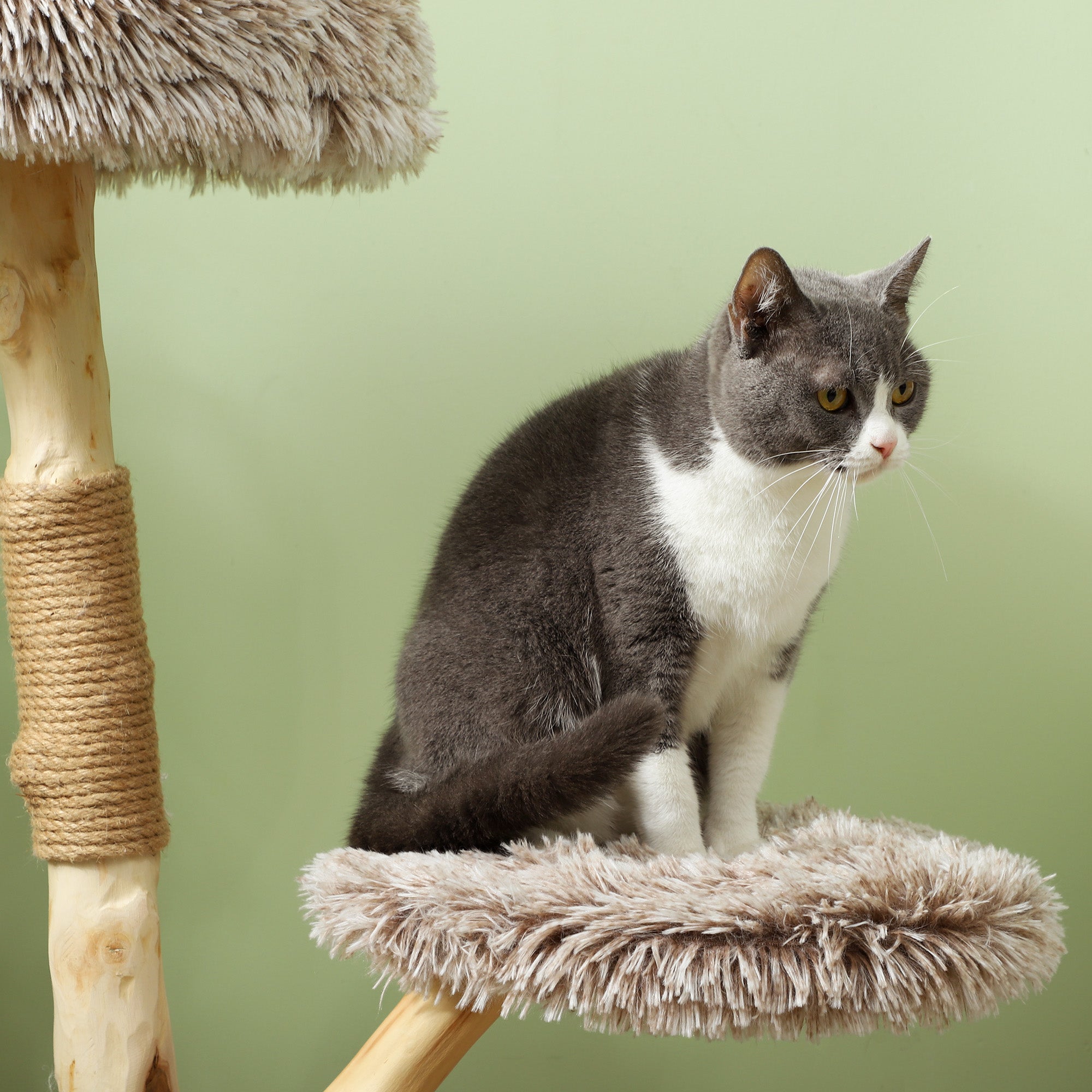35-Inch Modern Cat Tree for Indoor Adult Cats, Wooden Scratching Posts, Cat Bed & Rope Toy, Compact Activity Tower, Brown