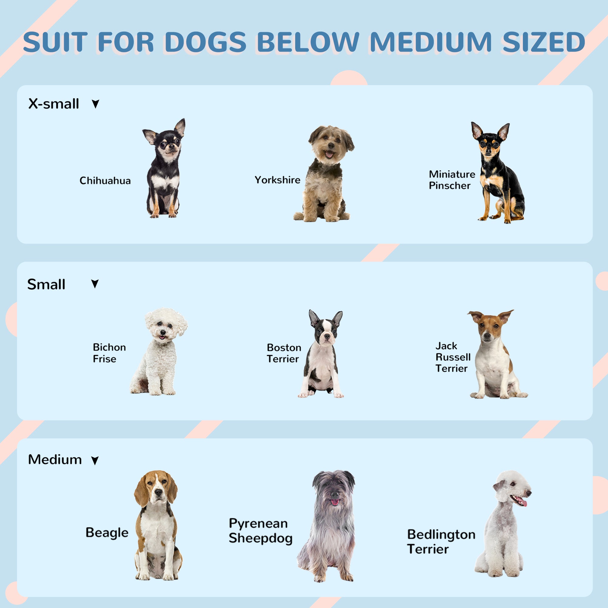 Plastic Dog House for Medium and Small Dogs, Water Resistant Puppy Shelter Indoor Outdoor with Door, Easy to Assemble, Blue