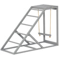 Chicken Swing Set with Perches & Hen Ladder, Chicken Coop Activity Toy