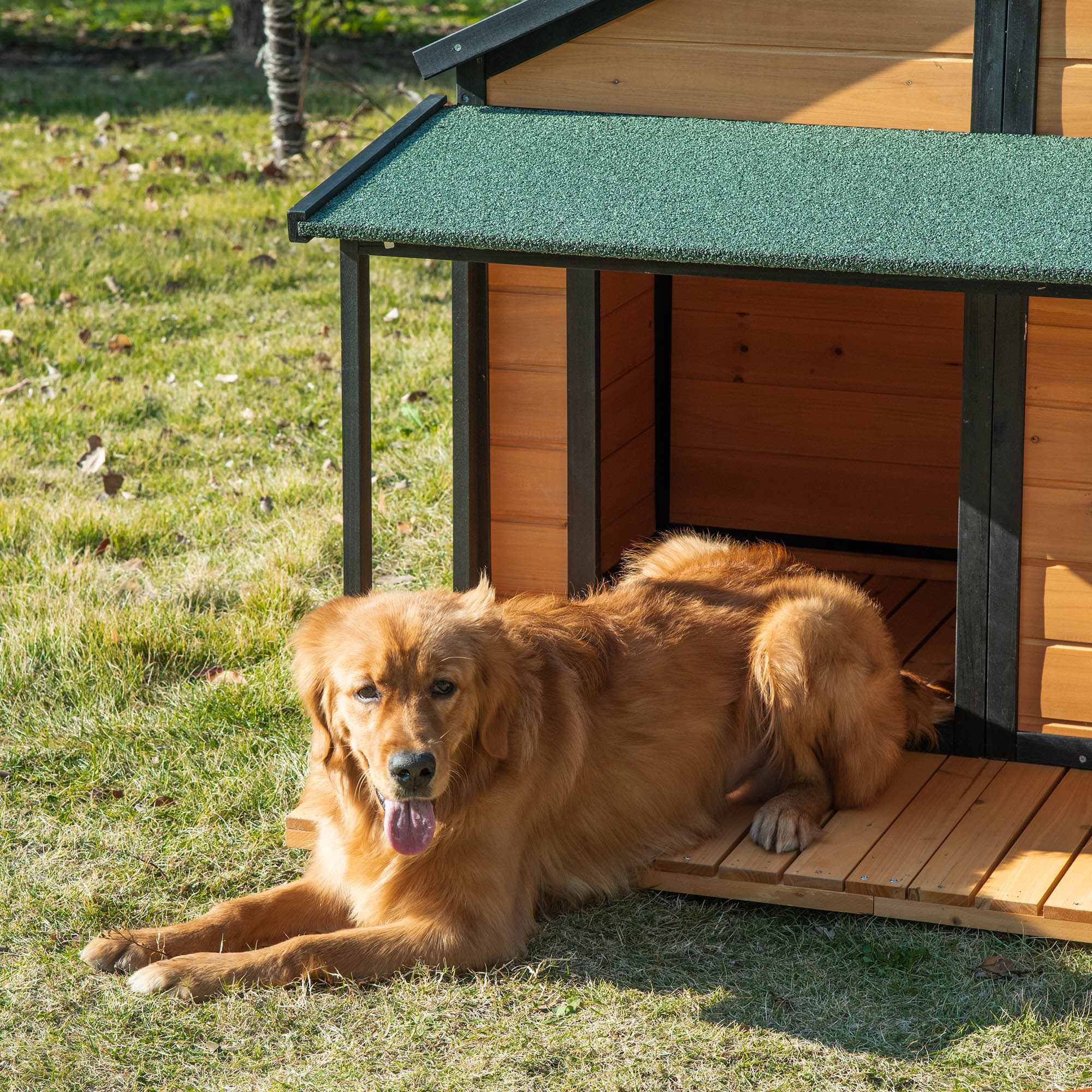 Outdoor Dog House Cabin Style, Wooden Raised Pet Kennel with Asphalt Roof, Front Door, Side Window, Porch for Medium and Large Dogs, Gray