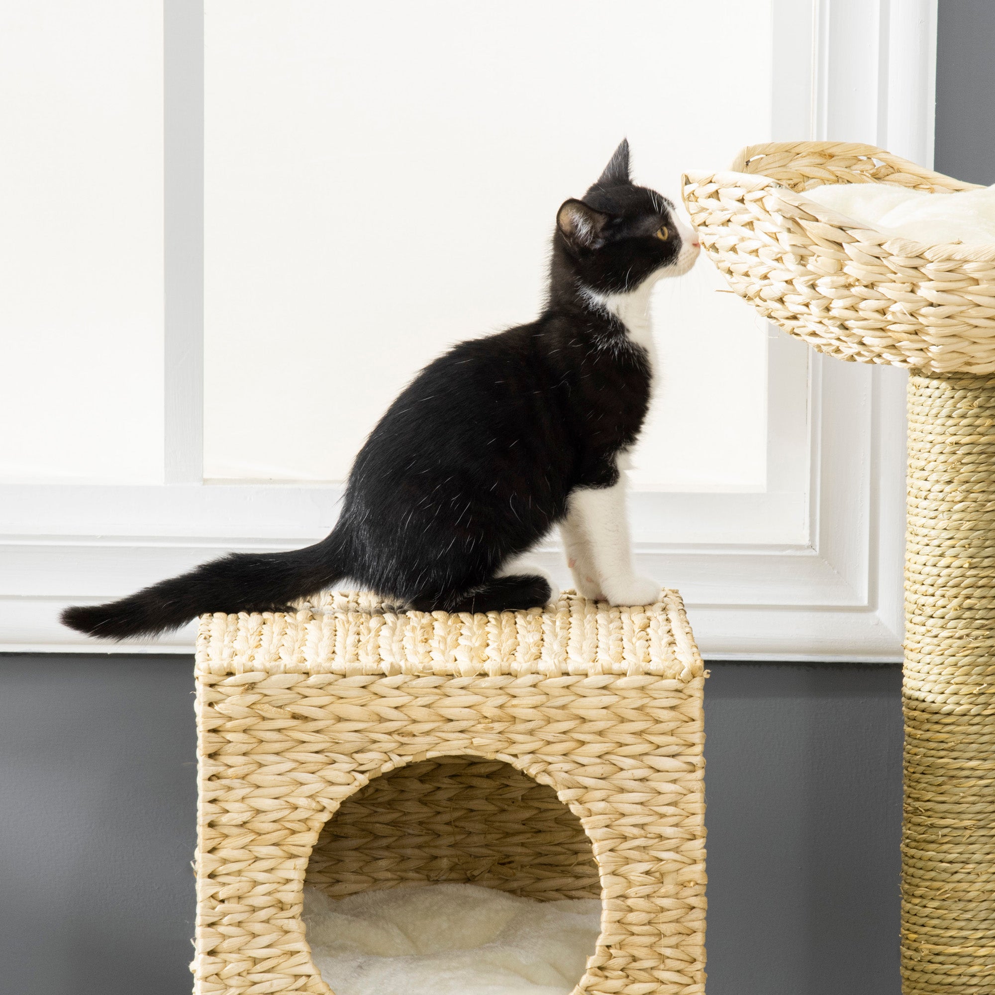 39.5" Natural Cattail Weave Cat Tree - Boho Rattan Cat Tower with Wicker Condo & Bed, 3-Tier Kitty Activity Center with Ladder & Washable Cushions