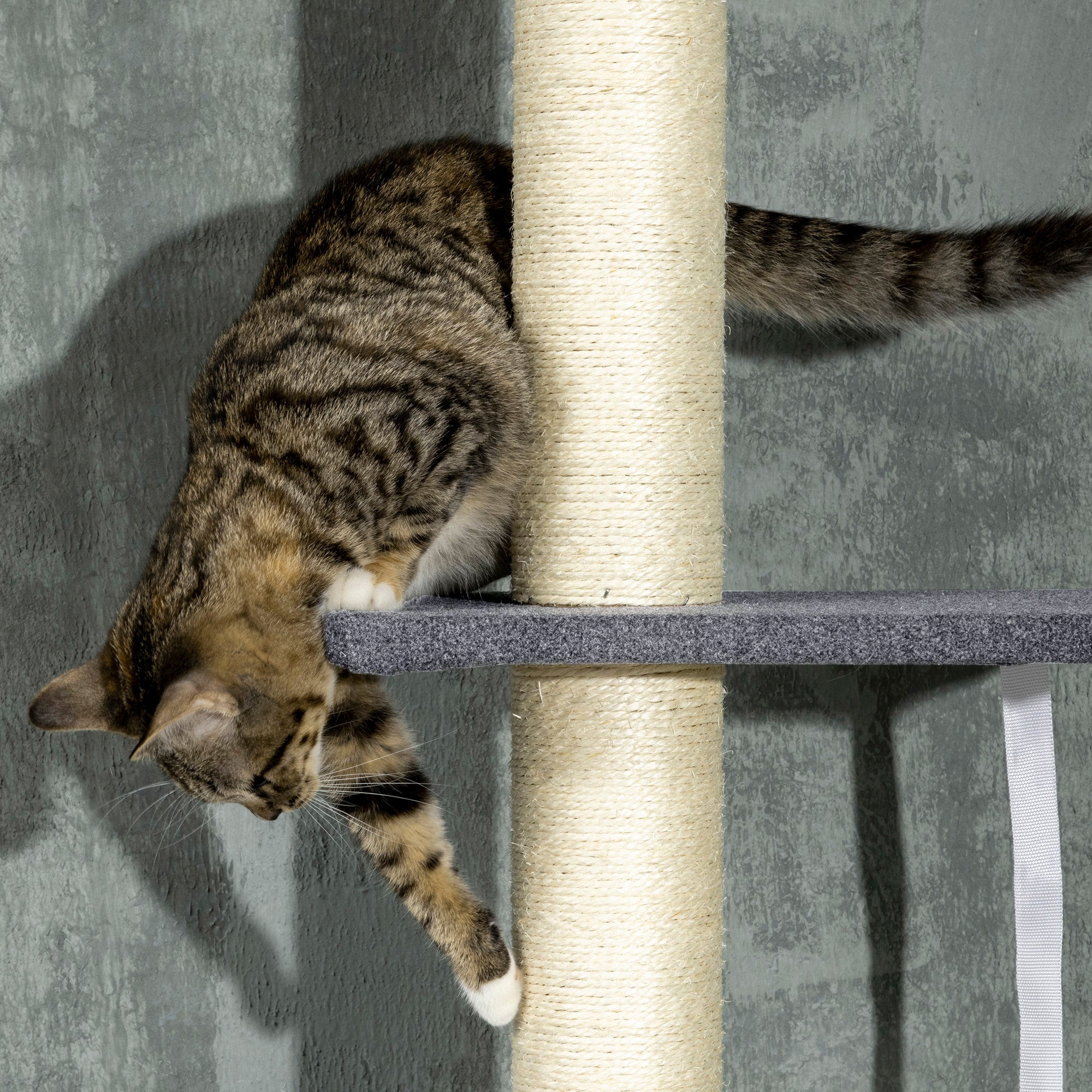 Floor-to-Ceiling Cat Tree 5-Tier, 95¨C106in Adjustable Height, Bed & Hammock, Scratching Posts with Toy, Indoor Cat Tower, Dark Gray/Cream